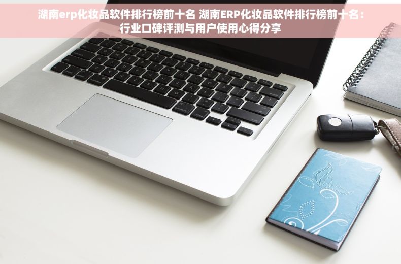 湖南erp化妆品软件排行榜前十名 湖南ERP化妆品软件排行榜前十名：行业口碑评测与用户使用心得分享