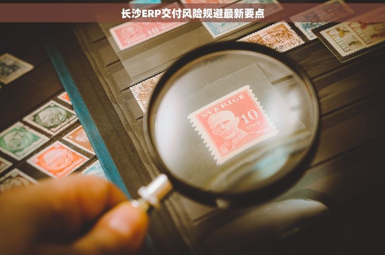 长沙ERP交付风险规避最新要点