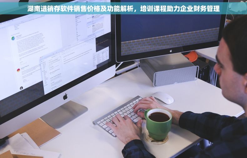 湖南进销存软件销售价格及功能解析，培训课程助力企业财务管理