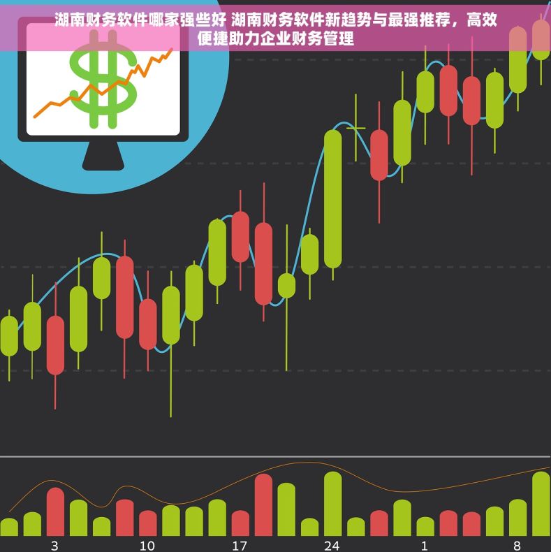 湖南财务软件哪家强些好 湖南财务软件新趋势与最强推荐，高效便捷助力企业财务管理