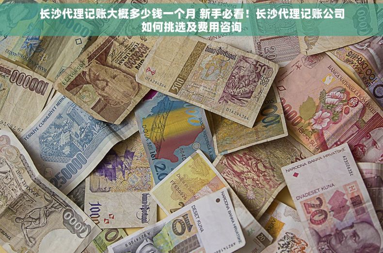 长沙代理记账大概多少钱一个月 新手必看！长沙代理记账公司如何挑选及费用咨询