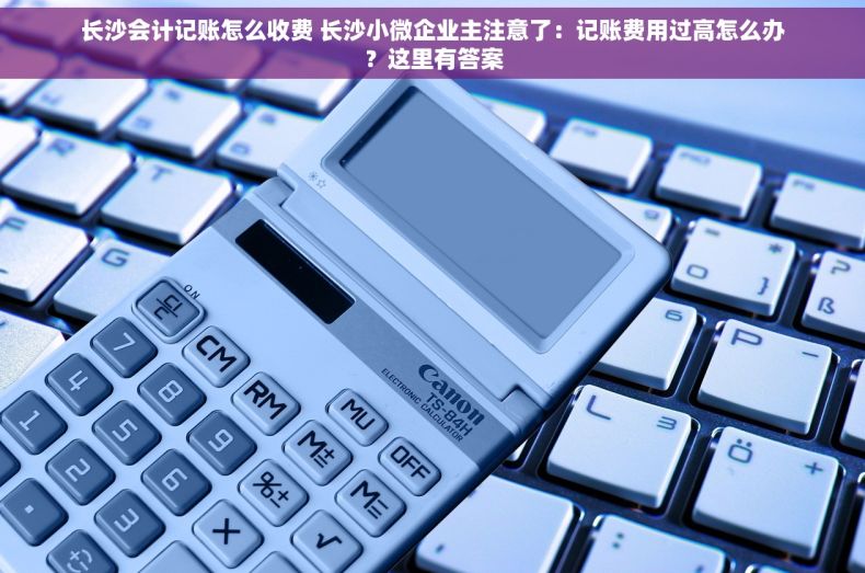 长沙会计记账怎么收费 长沙小微企业主注意了：记账费用过高怎么办？这里有答案