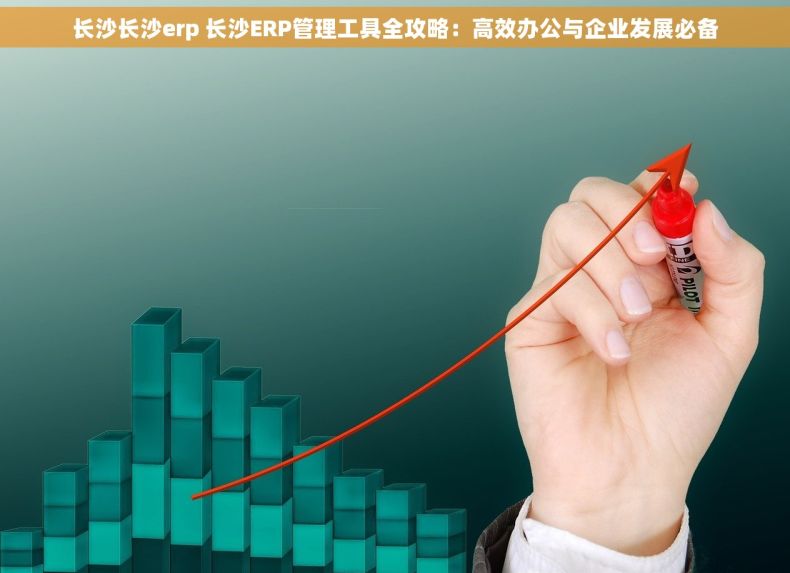长沙长沙erp 长沙ERP管理工具全攻略：高效办公与企业发展必备