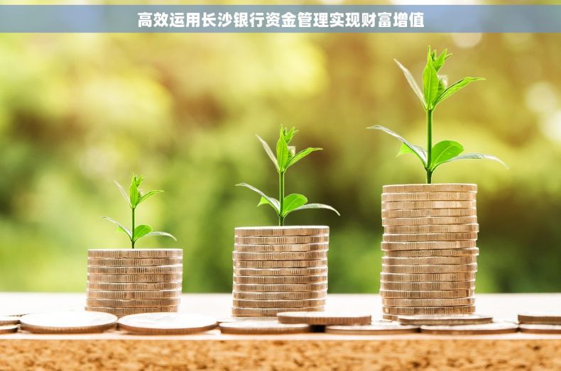 高效运用长沙银行资金管理实现财富增值