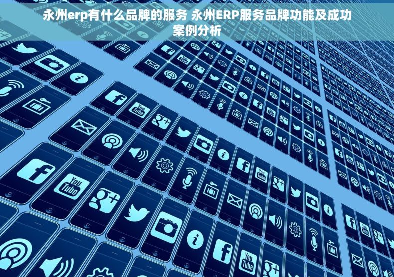 永州erp有什么品牌的服务 永州ERP服务品牌功能及成功案例分析