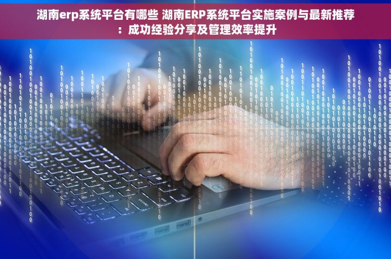 湖南erp系统平台有哪些 湖南ERP系统平台实施案例与最新推荐：成功经验分享及管理效率提升