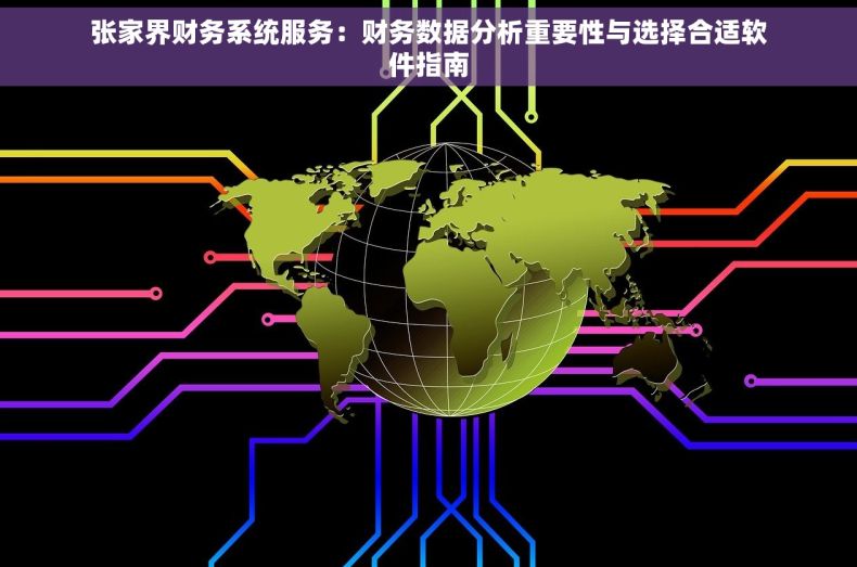 张家界财务系统服务：财务数据分析重要性与选择合适软件指南