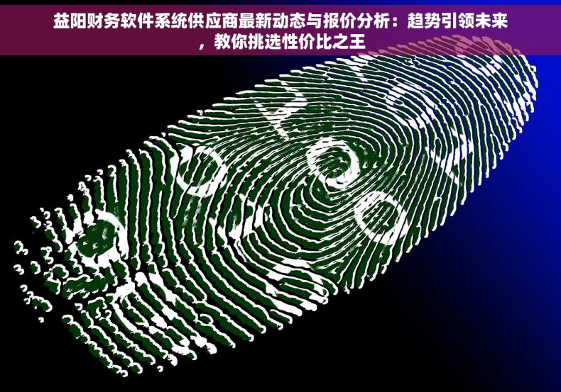 益阳财务软件系统供应商最新动态与报价分析：趋势引领未来，教你挑选性价比之王