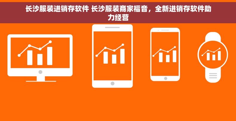长沙服装进销存软件 长沙服装商家福音，全新进销存软件助力经营