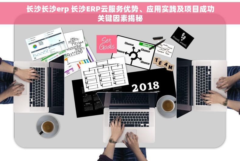 长沙长沙erp 长沙ERP云服务优势、应用实践及项目成功关键因素揭秘
