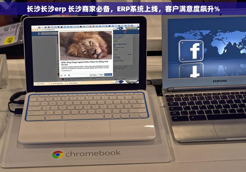 长沙长沙erp 长沙商家必备，ERP系统上线，客户满意度飙升%