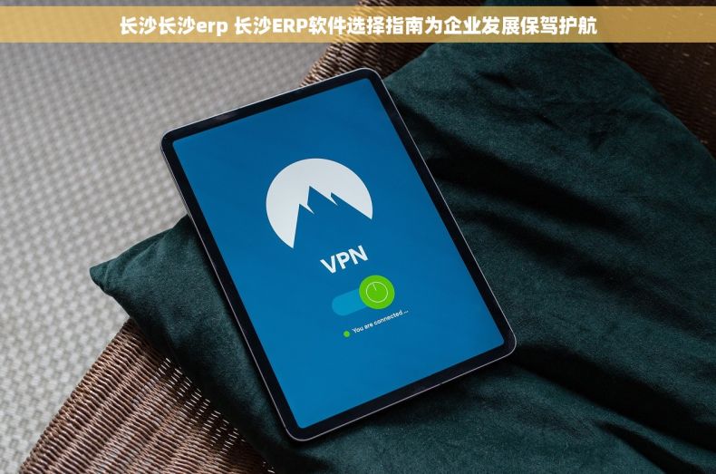 长沙长沙erp 长沙ERP软件选择指南为企业发展保驾护航