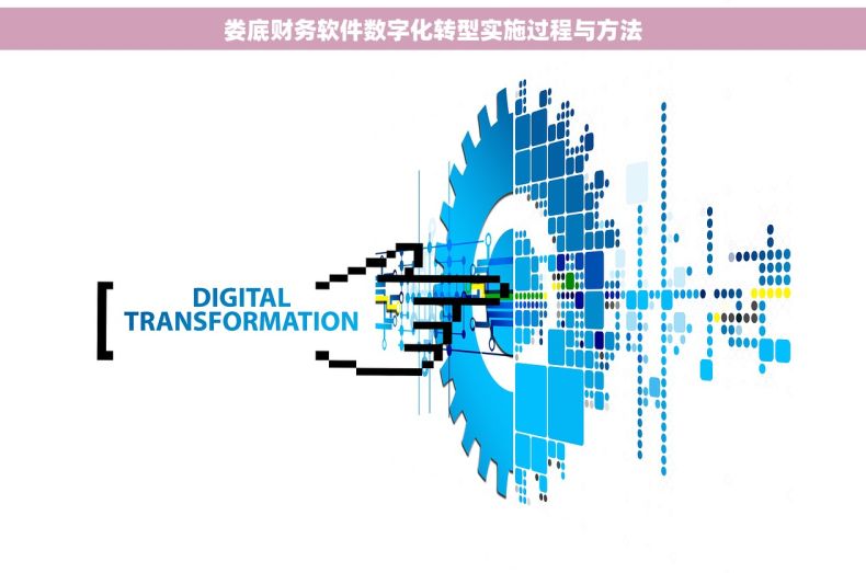 娄底财务软件数字化转型实施过程与方法