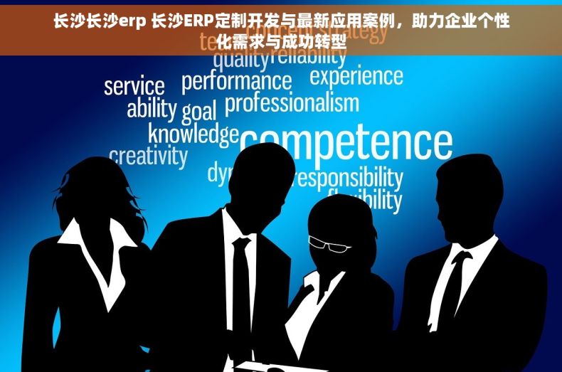 长沙长沙erp 长沙ERP定制开发与最新应用案例，助力企业个性化需求与成功转型