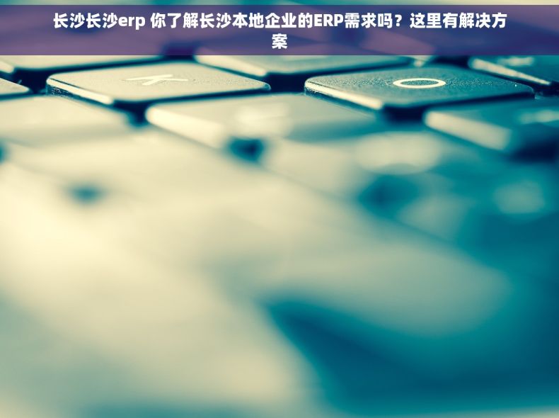 长沙长沙erp 你了解长沙本地企业的ERP需求吗？这里有解决方案