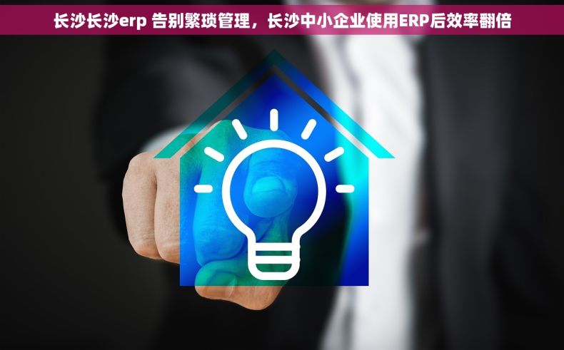 长沙长沙erp 告别繁琐管理，长沙中小企业使用ERP后效率翻倍