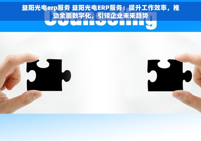 益阳光电erp服务 益阳光电ERP服务：提升工作效率，推动全面数字化，引领企业未来趋势