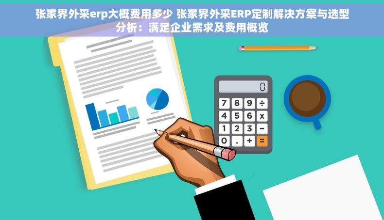 张家界外采erp大概费用多少 张家界外采ERP定制解决方案与选型分析：满足企业需求及费用概览