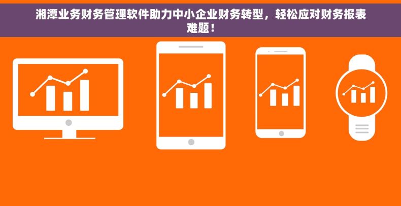湘潭业务财务管理软件助力中小企业财务转型，轻松应对财务报表难题！