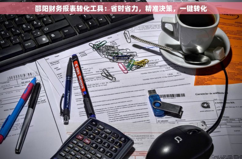 邵阳财务报表转化工具：省时省力，精准决策，一键转化
