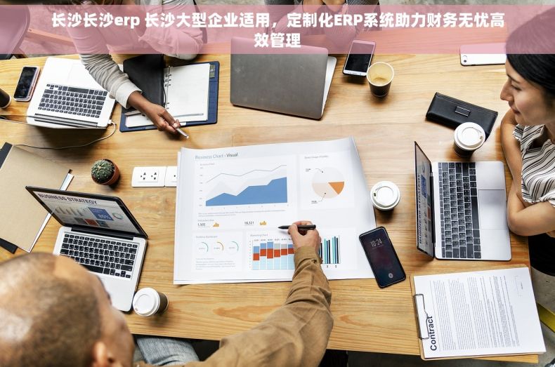 长沙长沙erp 长沙大型企业适用，定制化ERP系统助力财务无忧高效管理