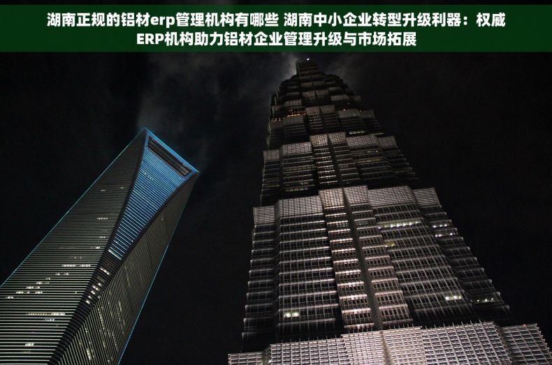 湖南正规的铝材erp管理机构有哪些 湖南中小企业转型升级利器：权威ERP机构助力铝材企业管理升级与市场拓展