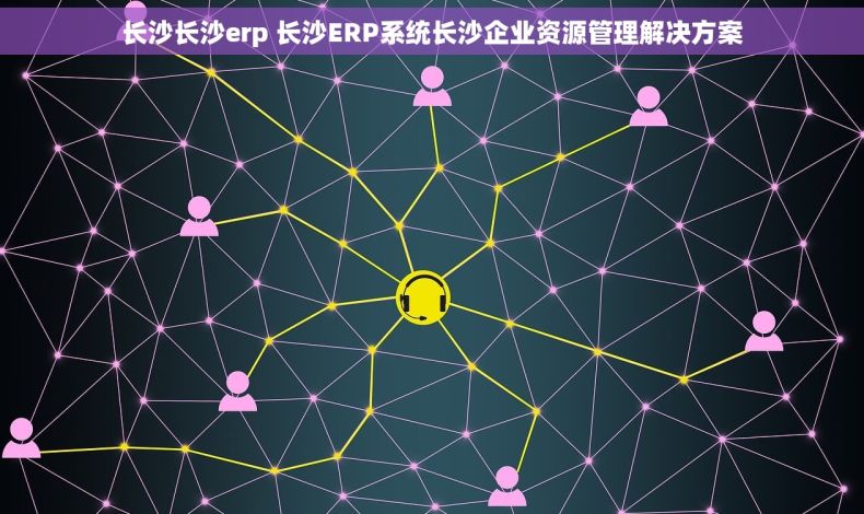 长沙长沙erp 长沙ERP系统长沙企业资源管理解决方案