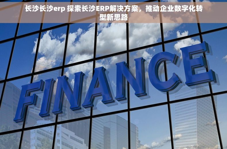 长沙长沙erp 探索长沙ERP解决方案，推动企业数字化转型新思路