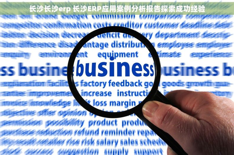 长沙长沙erp 长沙ERP应用案例分析报告探索成功经验