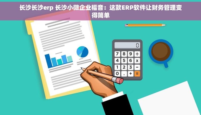 长沙长沙erp 长沙小微企业福音：这款ERP软件让财务管理变得简单