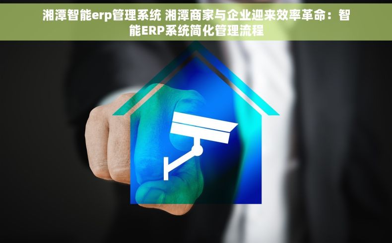 湘潭智能erp管理系统 湘潭商家与企业迎来效率革命：智能ERP系统简化管理流程