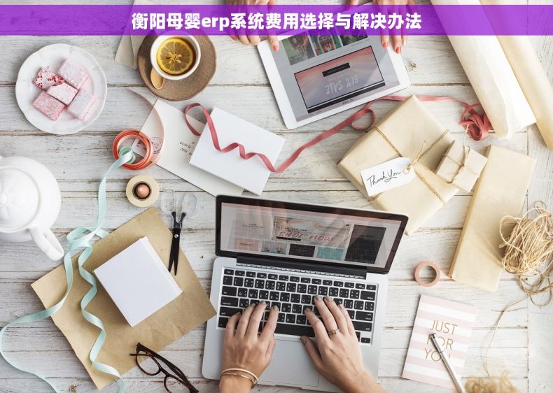 衡阳母婴erp系统费用选择与解决办法
