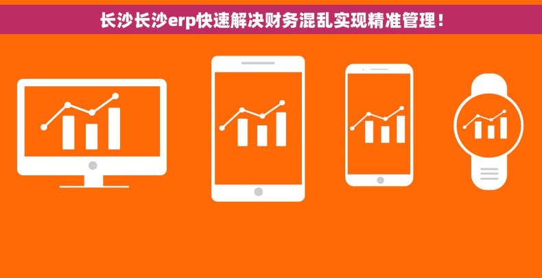长沙长沙erp快速解决财务混乱实现精准管理！