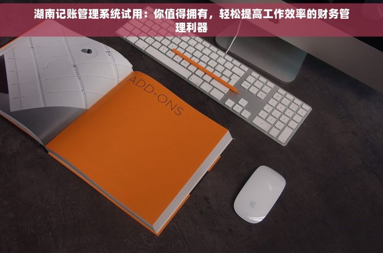 湖南记账管理系统试用：你值得拥有，轻松提高工作效率的财务管理利器