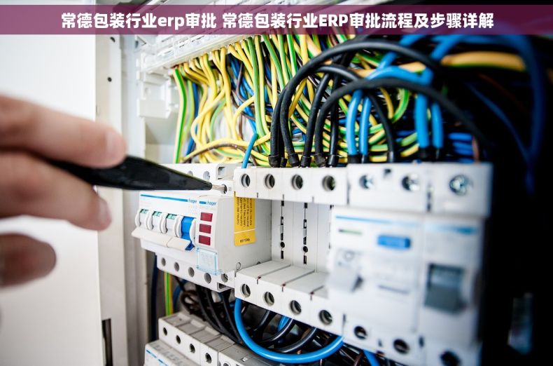 常德包装行业erp审批 常德包装行业ERP审批流程及步骤详解