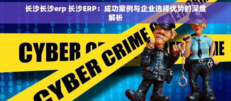 长沙长沙erp 长沙ERP：成功案例与企业选择优势的深度解析