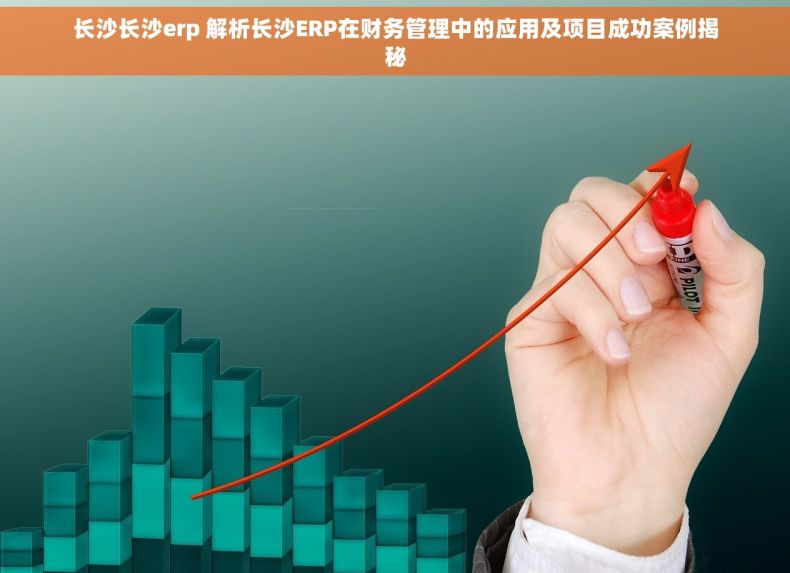 长沙长沙erp 解析长沙ERP在财务管理中的应用及项目成功案例揭秘