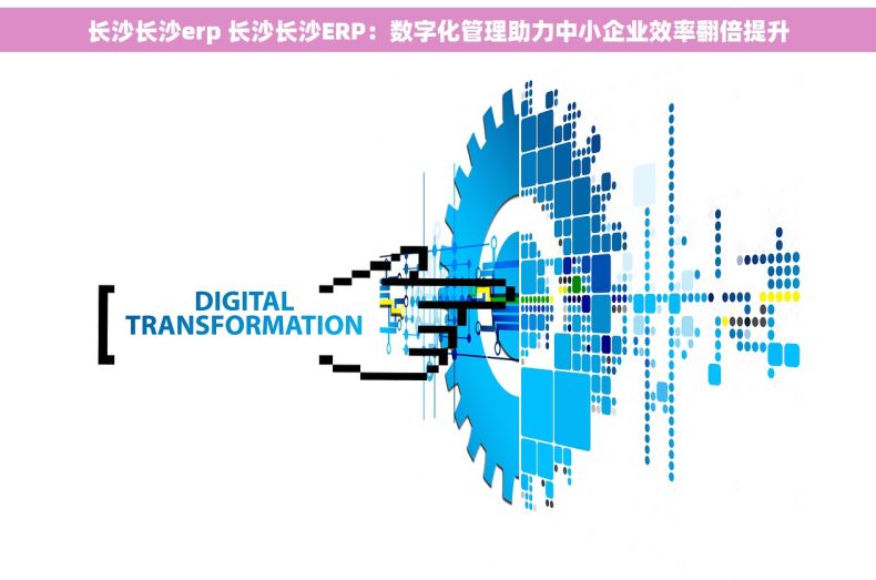 长沙长沙erp 长沙长沙ERP：数字化管理助力中小企业效率翻倍提升