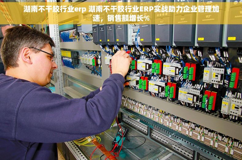 湖南不干胶行业erp 湖南不干胶行业ERP实战助力企业管理加速，销售额增长%