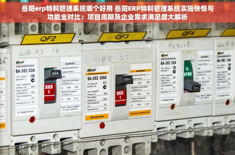 岳阳erp物料管理系统哪个好用 岳阳ERP物料管理系统实施快慢与功能全对比：项目周期及企业需求满足度大解析