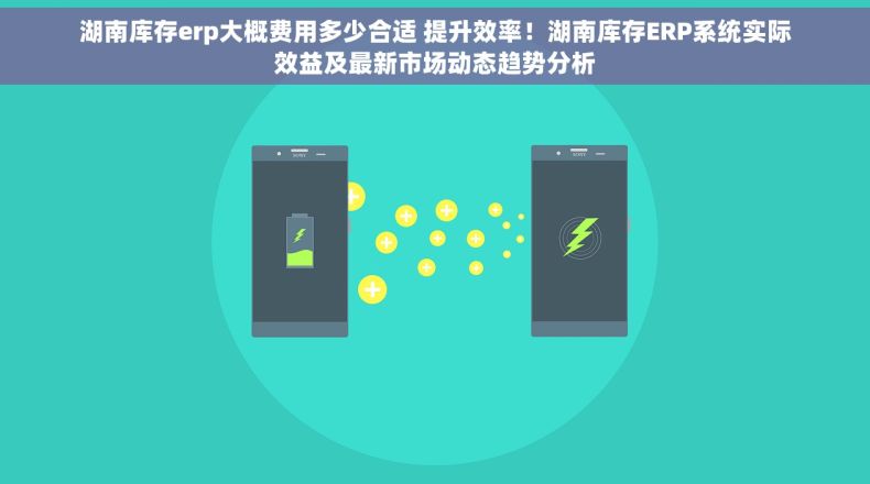 湖南库存erp大概费用多少合适 提升效率！湖南库存ERP系统实际效益及最新市场动态趋势分析