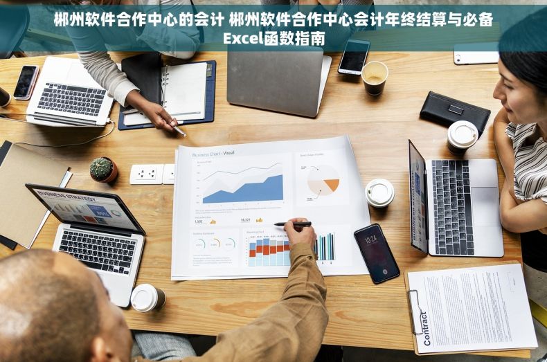 郴州软件合作中心的会计 郴州软件合作中心会计年终结算与必备Excel函数指南