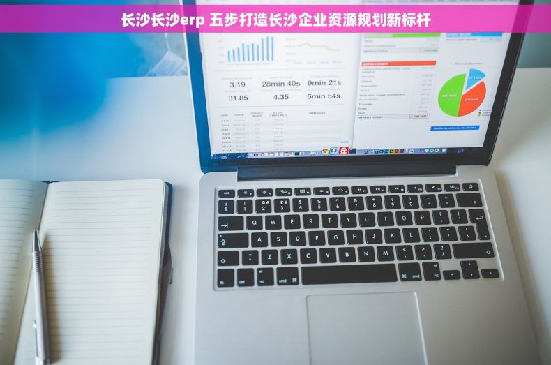 长沙长沙erp 五步打造长沙企业资源规划新标杆