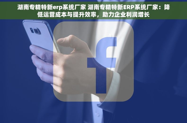 湖南专精特新erp系统厂家 湖南专精特新ERP系统厂家：降低运营成本与提升效率，助力企业利润增长