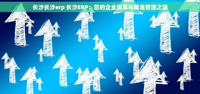 长沙长沙erp 长沙ERP：您的企业变革与精准管理之旅
