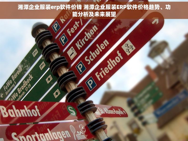 湘潭企业服装erp软件价钱 湘潭企业服装ERP软件价格趋势、功能分析及未来展望