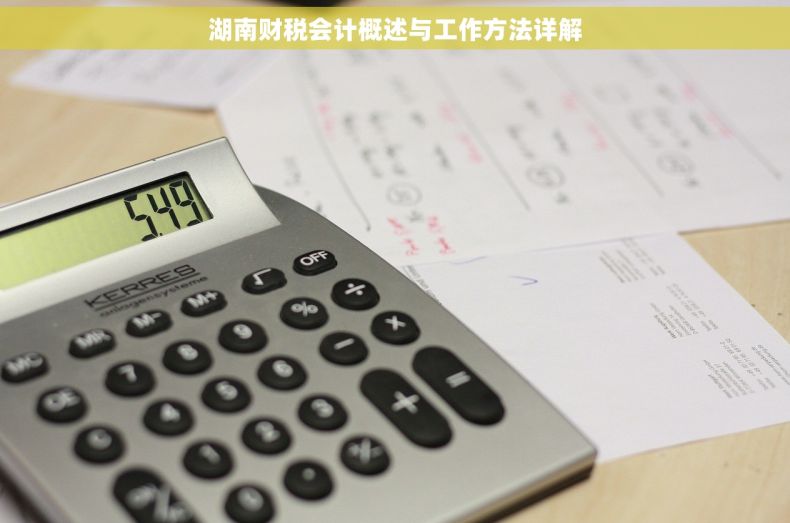 湖南财税会计概述与工作方法详解