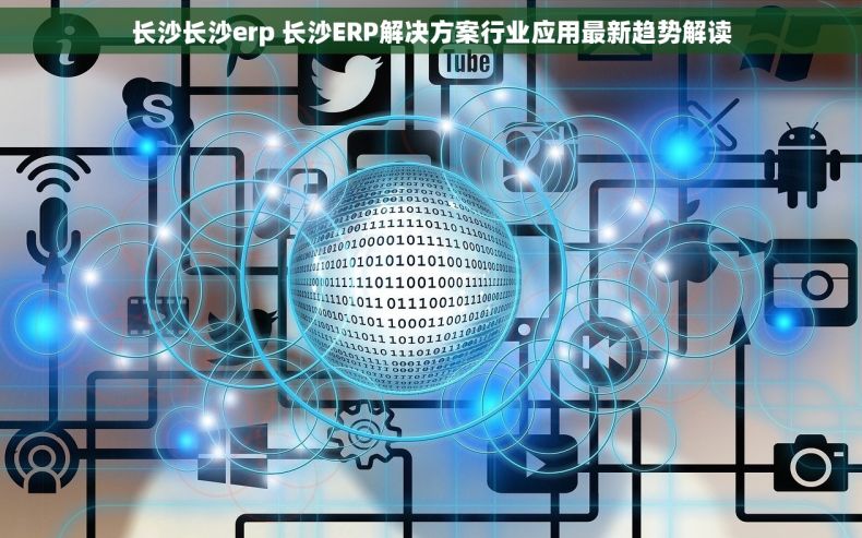 长沙长沙erp 长沙ERP解决方案行业应用最新趋势解读