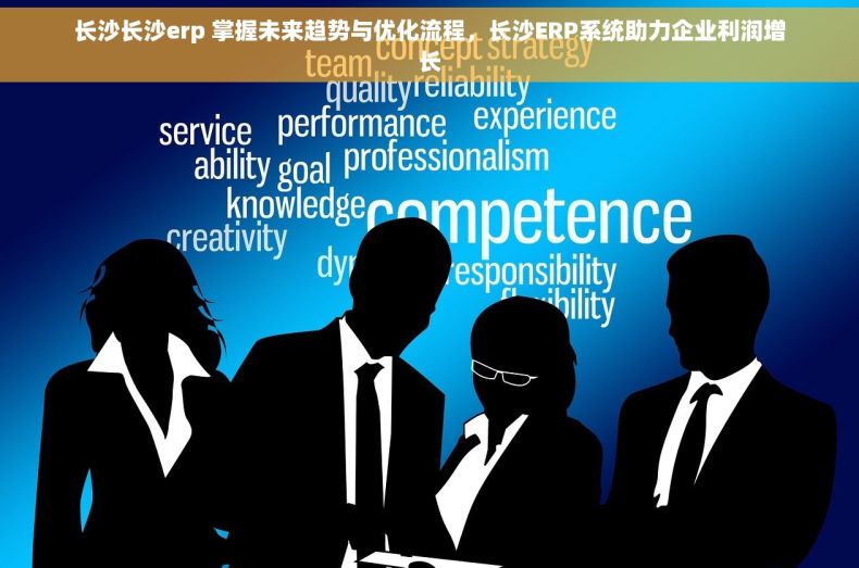 长沙长沙erp 掌握未来趋势与优化流程，长沙ERP系统助力企业利润增长