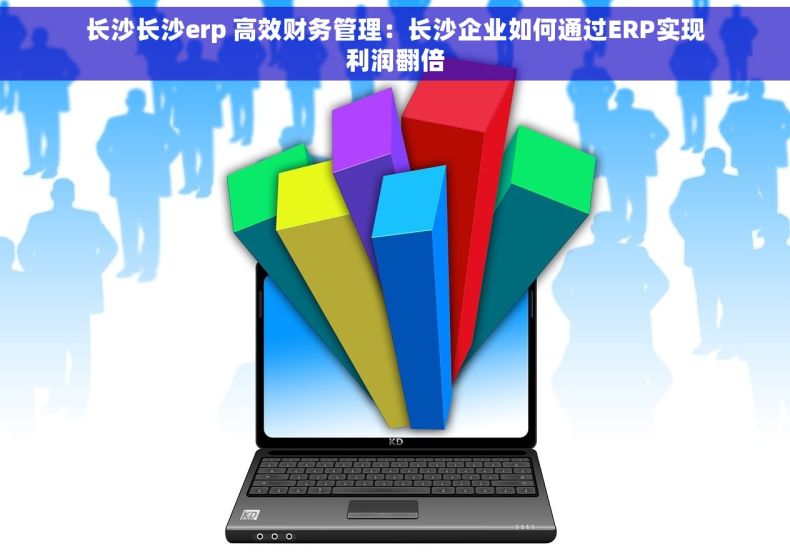 长沙长沙erp 高效财务管理：长沙企业如何通过ERP实现利润翻倍